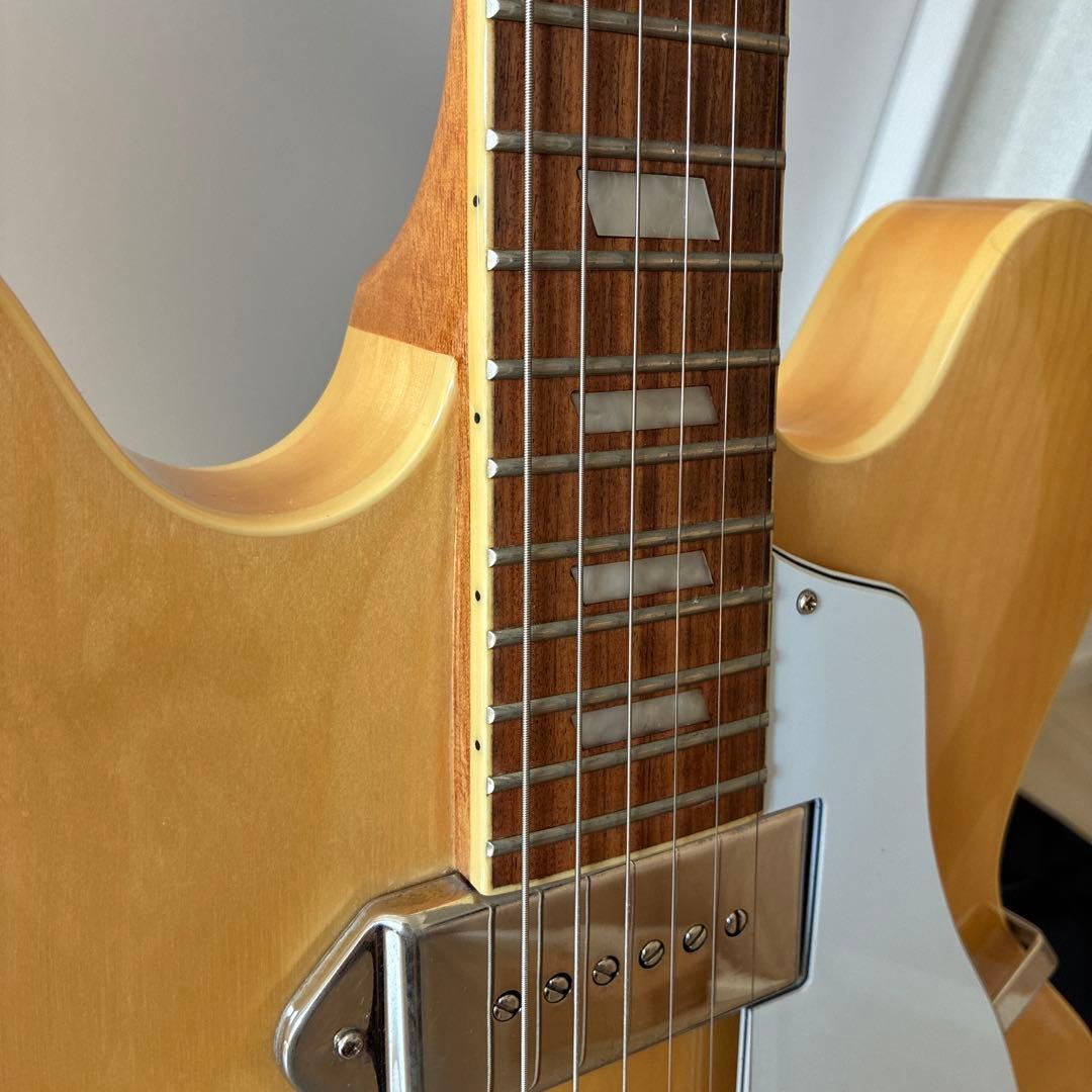 Epiphon Casino NA エピフォン カジノ ナチュラル