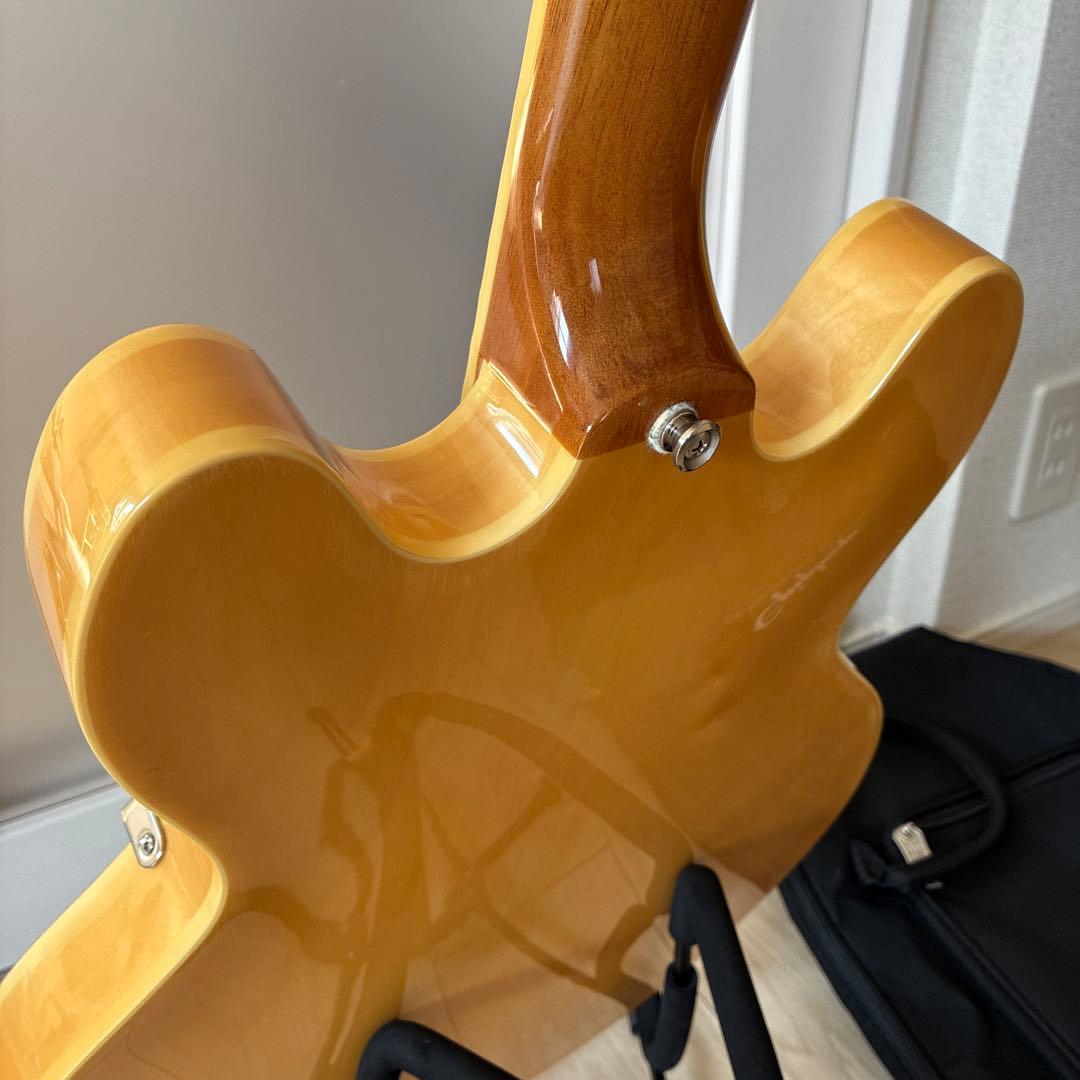 Epiphon Casino NA エピフォン カジノ ナチュラル