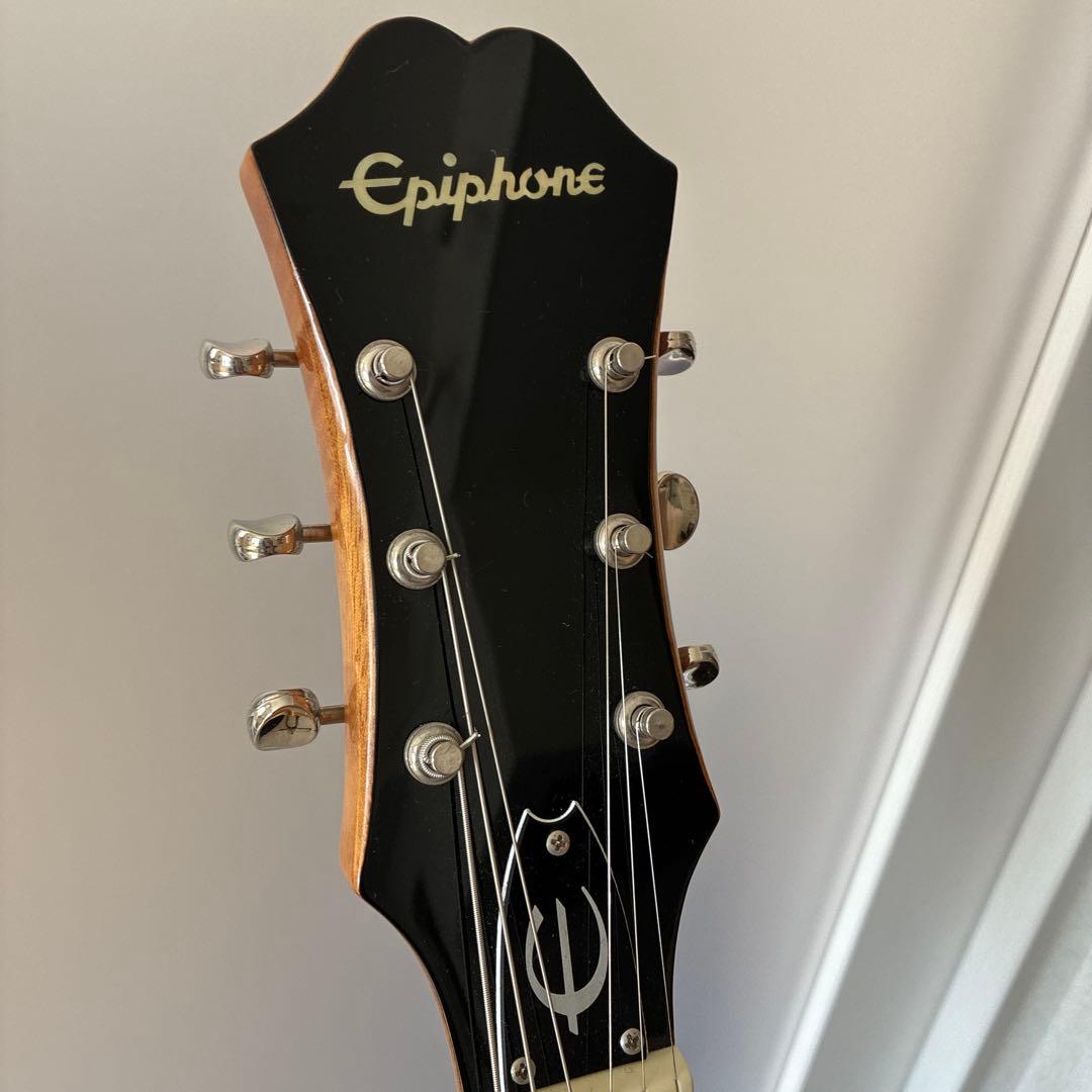 Epiphon Casino NA エピフォン カジノ ナチュラル