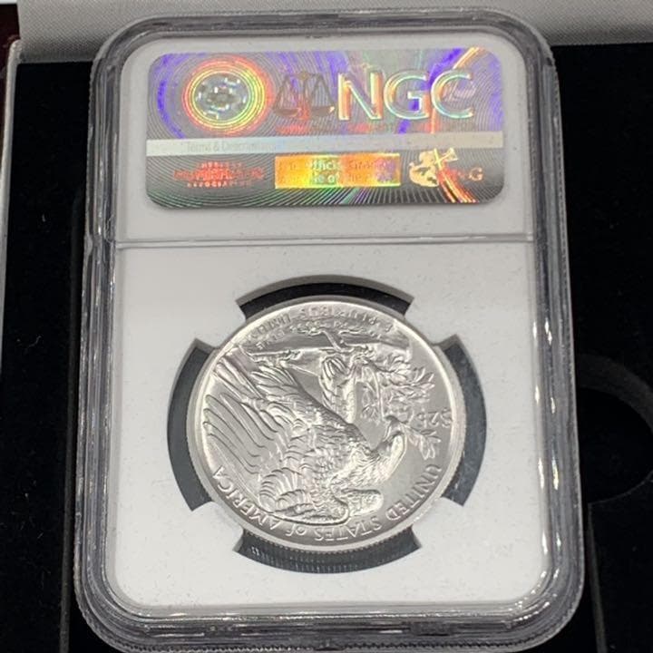 2017 パラジウム イーグル モダンコイン NGC MS70ER E2