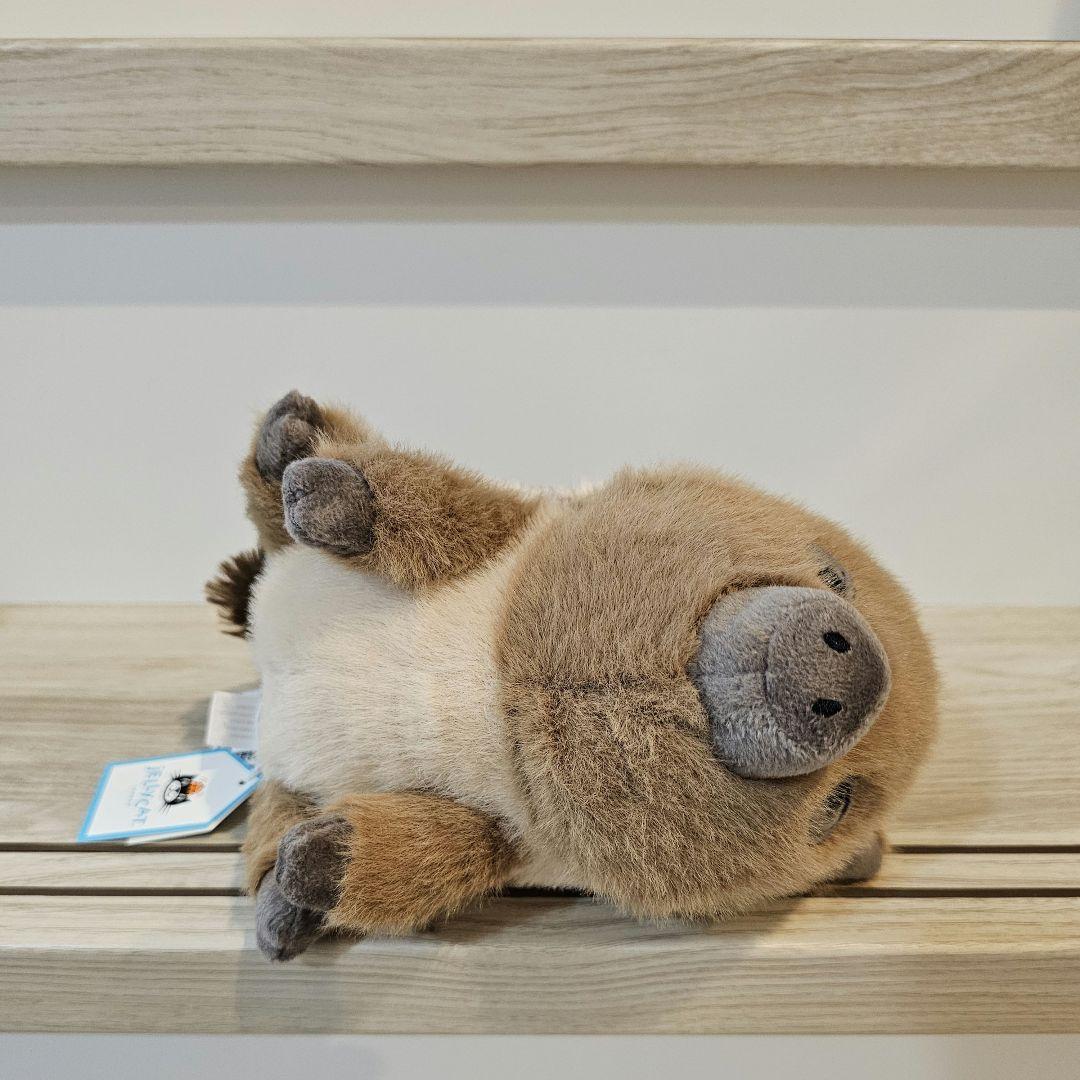 ジェリーキャット イノシシ Swinley Boar