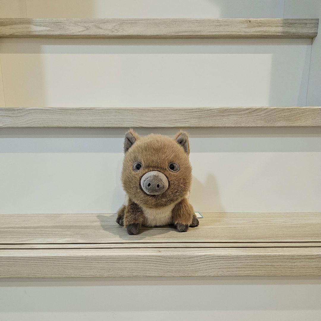 ジェリーキャット イノシシ Swinley Boar