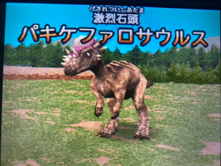 購入 古代王者 恐竜キング 7つのかけら シークレット恐竜入りデータ 8