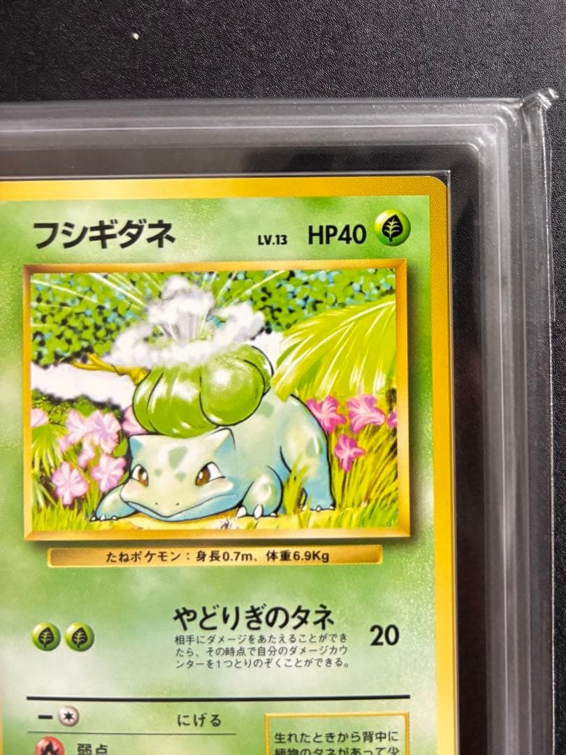 【ARS9】フシギダネ 初版 旧裏面 PSA BGS 鑑定品