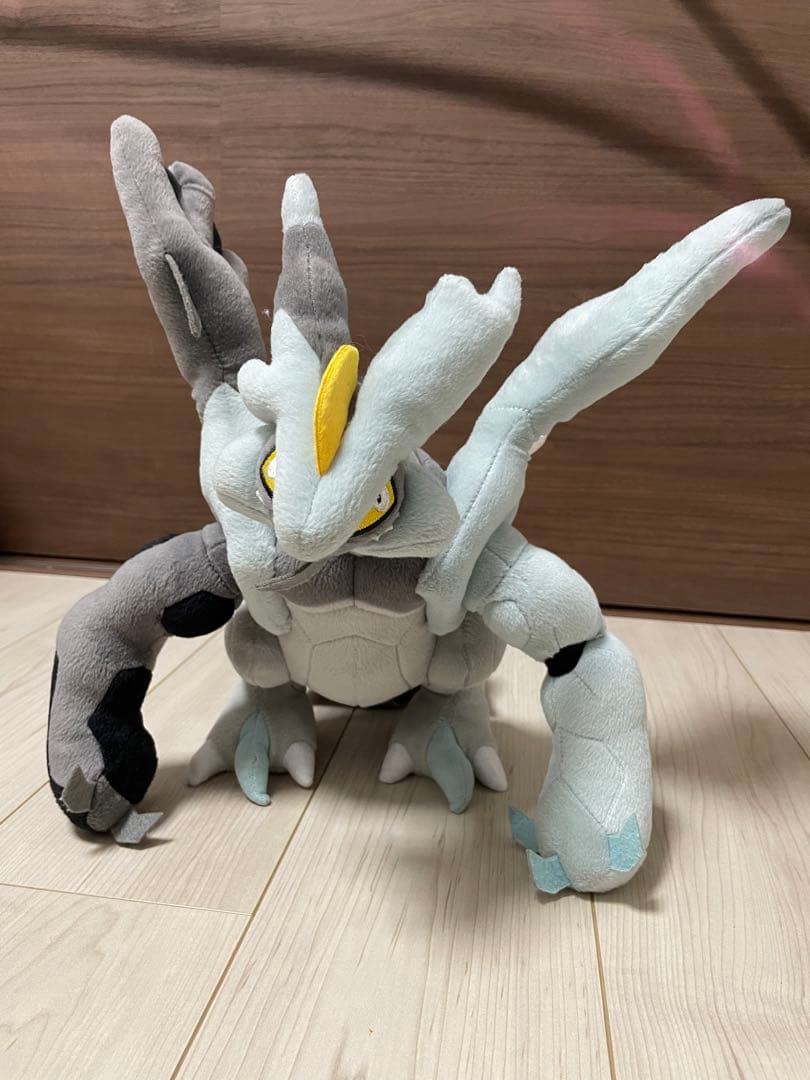 一点もの/廃盤/2012年】ホワイトキュレム ブラックキュレム ポケドール