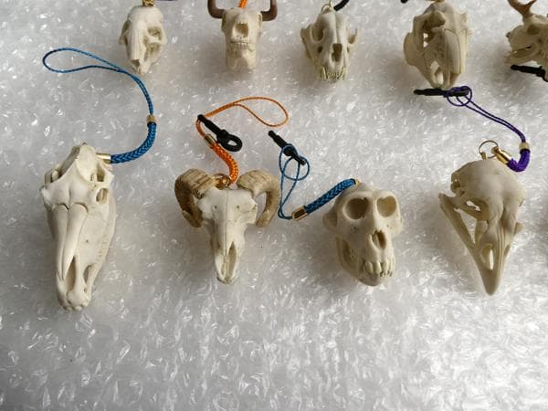 ホネコレ！ 十二支動物頭骨根付 コンプリート