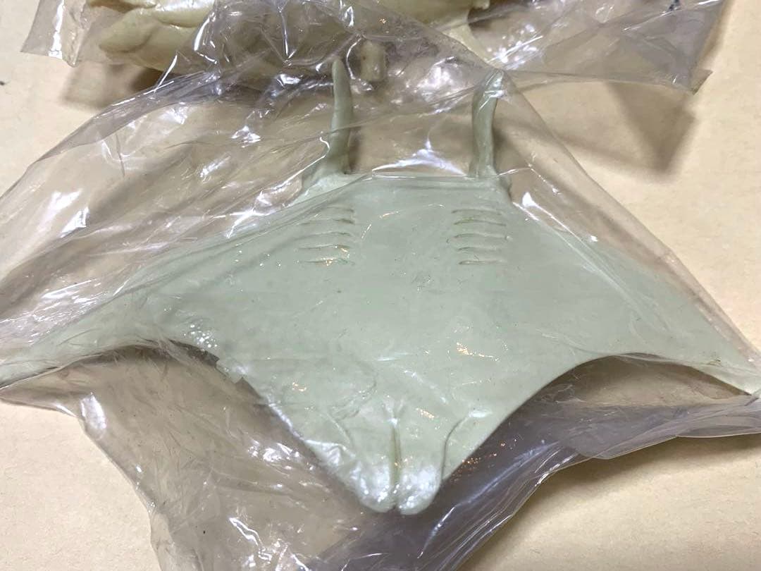 海洋堂　アクアランド　レジンキット　ホンマグロ　オニイトマキエイ　2個セット