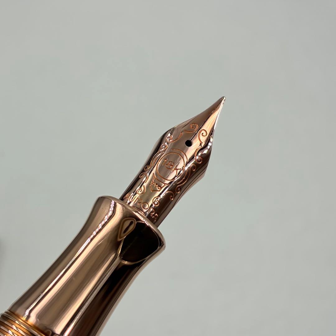 訳アリ AURORA アウロラ 万年筆 ダンテ・パラディソ 920-CPW - メルカリ