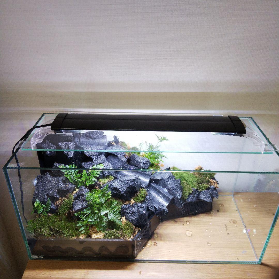 受注生産】滝の流れるアクアテラリウム イモリウム 苔 水槽 苔テラリウム
