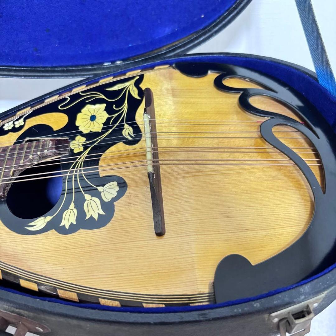 ☆マンドリン カターニア CATANIA イタリア ハードケース