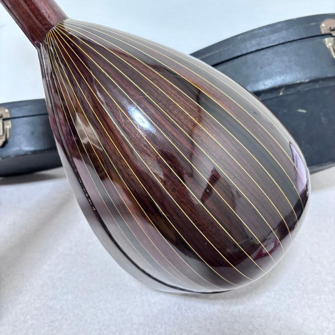 ☆マンドリン カターニア CATANIA イタリア ハードケース