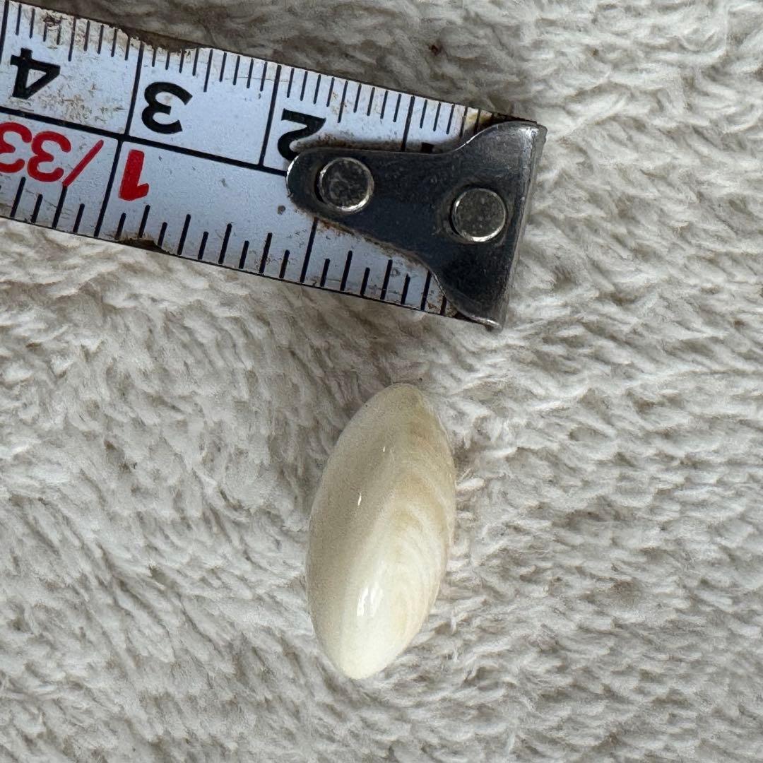 本榧　柾目　天地柾　4寸6分碁盤＋実用40号＋那智黒石＋碁笥＋桐製カバー