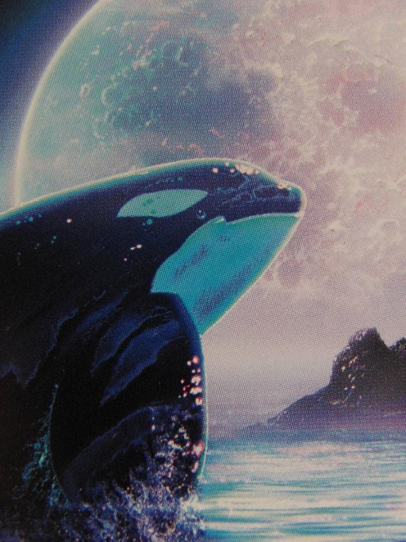 クリスチャン・ラッセン、【オルカムーン3】、希少な額装用画集より、状態良好