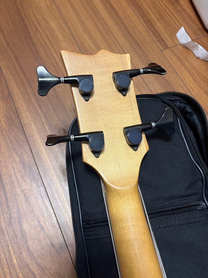 ぬ*こ様 【現状品】esp Egoist MA-250BE 【ジャンク】 - メルカリ