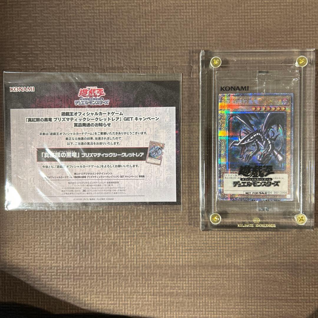 ゆ*き様 【遊戯王】真紅眼の黒竜 レッドアイズブラックドラゴン