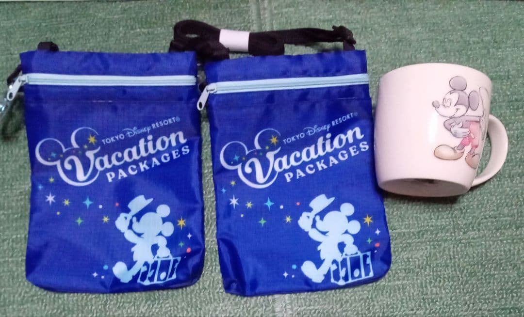 【送料込】ディズニー　ミラコスタ　バケパ　FSホテル ダッフィ　グッズセット