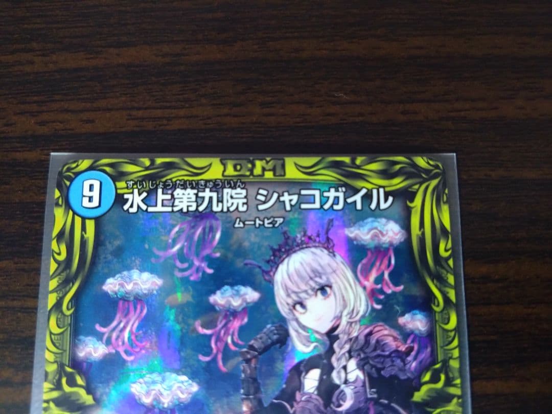 シャコガイル　a 2枚