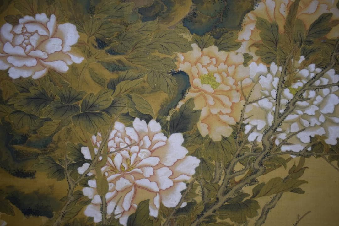 真作/翠雨山人（画）/孔雀に牡丹図/杉箱二重箱付/布袋屋掛軸HG-947