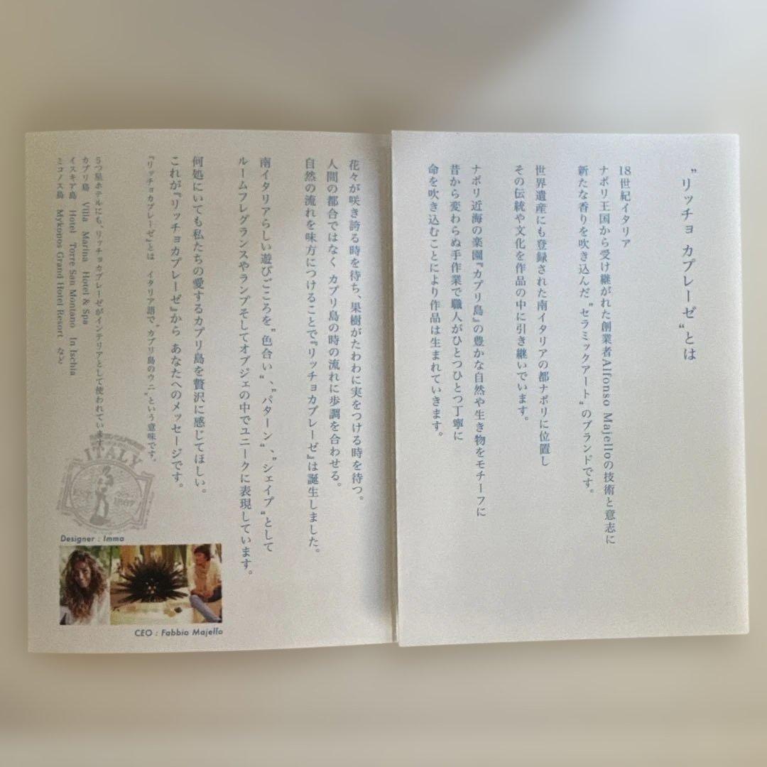 RICCIO CAPRESE 緑色ガラス 小物入れ