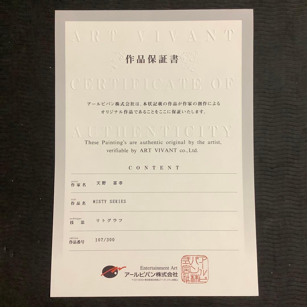 天野喜孝作 ミスティーシリーズの一枚 天野喜孝作 ミスティーシリーズ