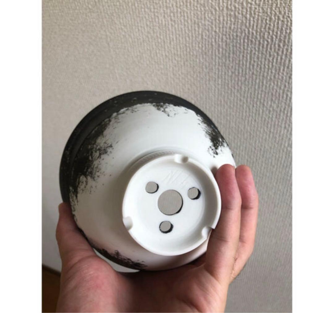 工芸品 -SYN- Bowl Type BLA/OFF (LARGE)