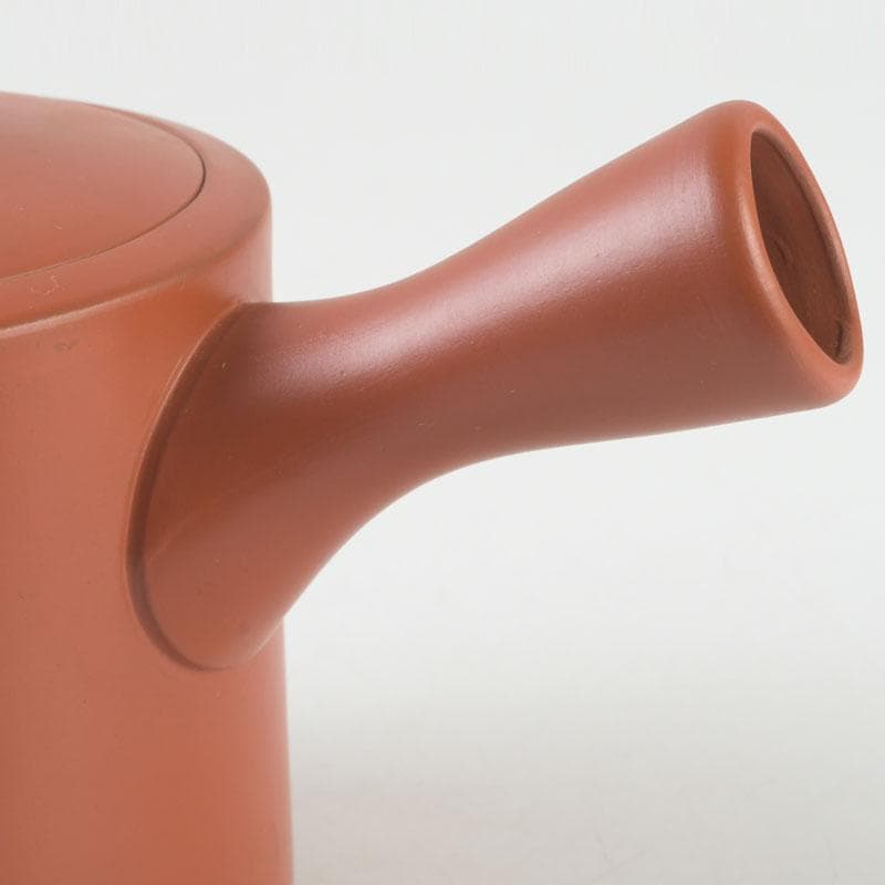 煎茶道具 常滑焼 朱泥 漢詩竹刻 横手急須 V 9580