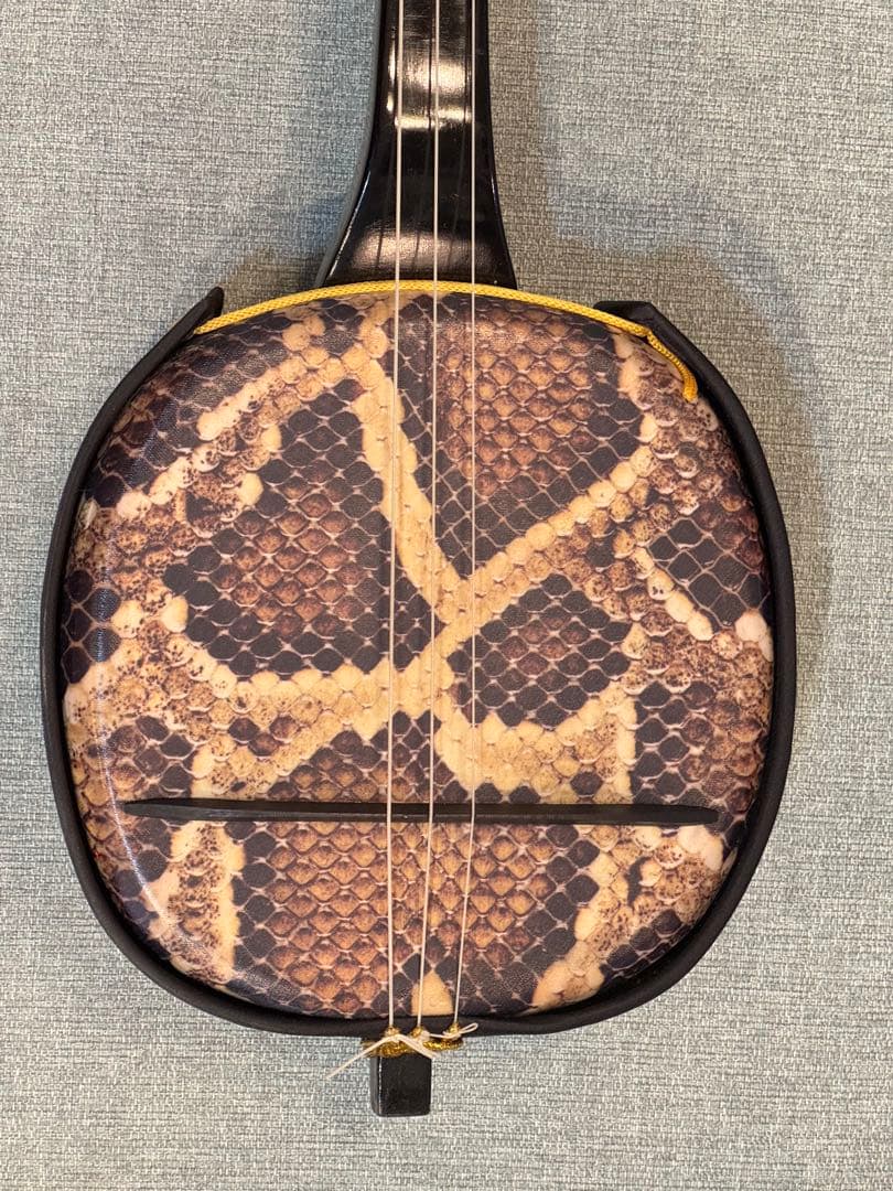 495＊三線 練習用 和楽器 沖縄三線 蛇柄 ケース付き 蛇皮では