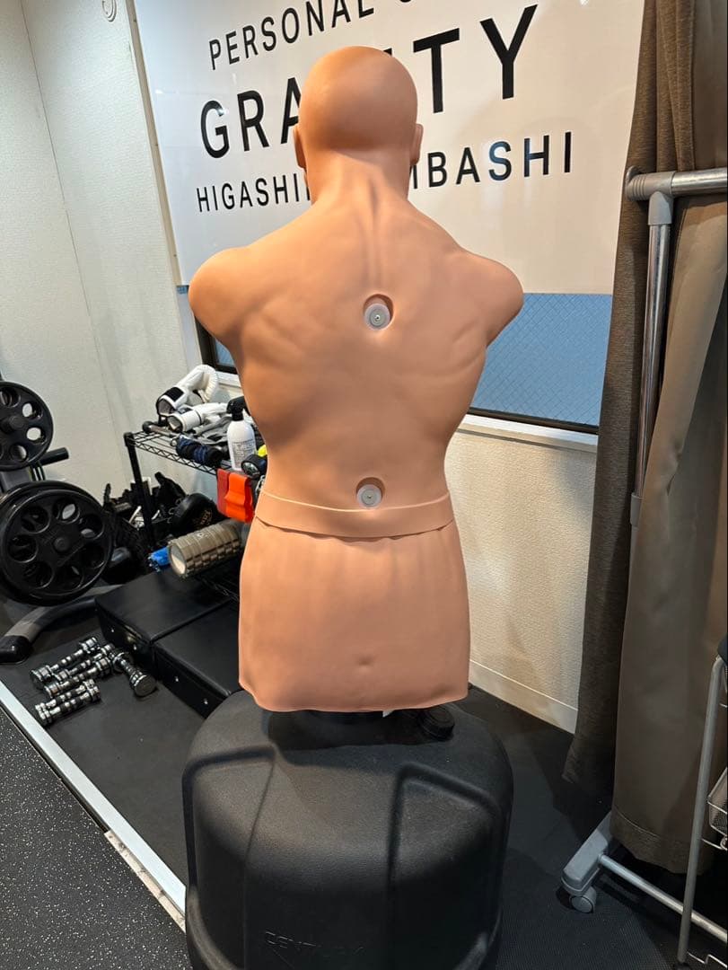 臓器シャツ付】センチュリーボブ Century BOB XL 人型サンドバッグ