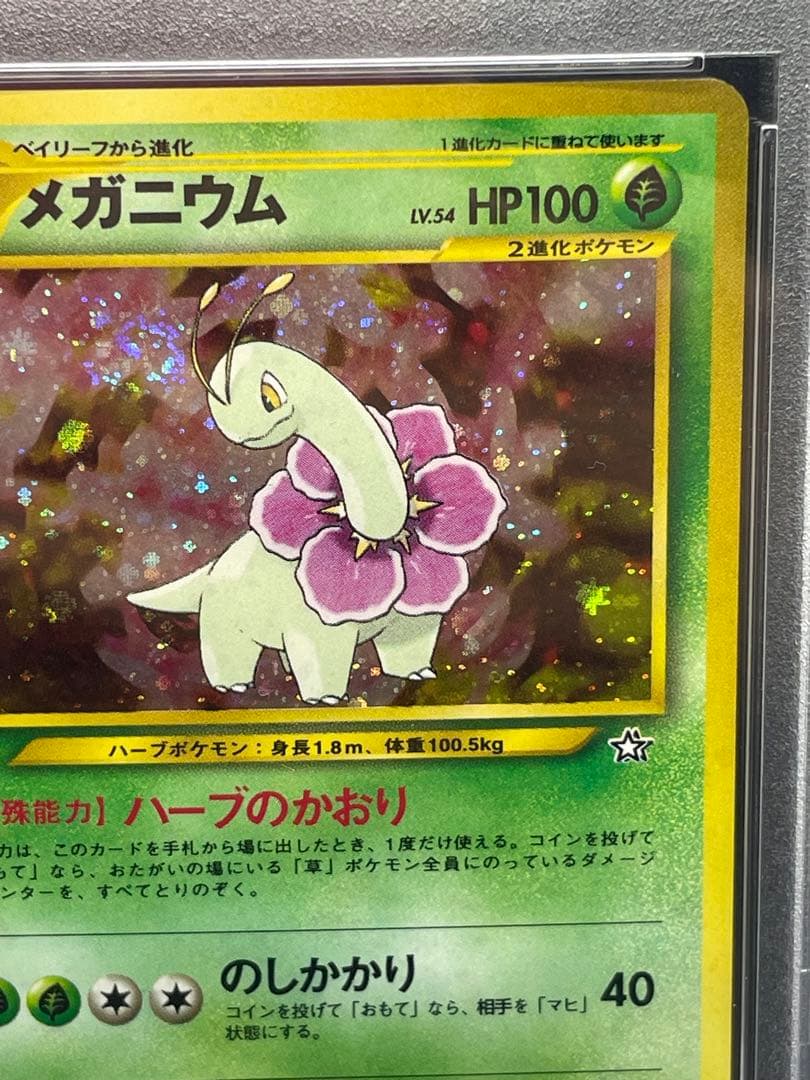 メガニウム 旧裏　psa9 渦あり　プレミアムファイル
