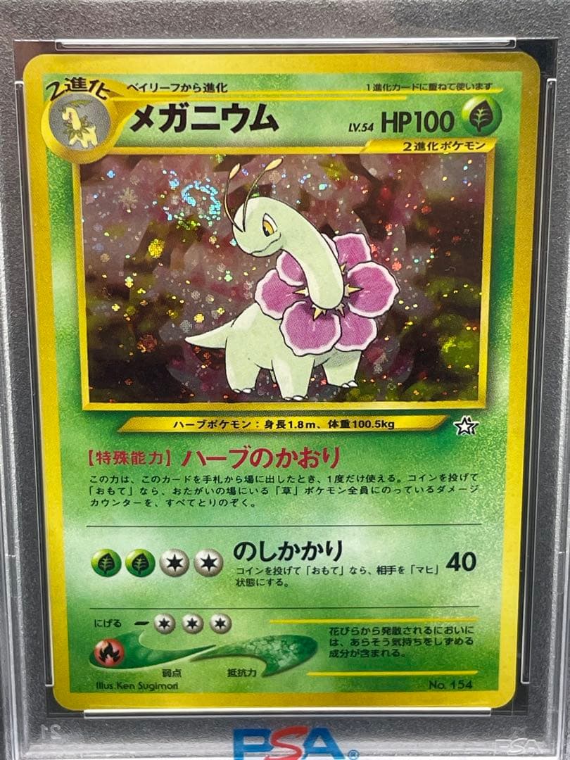 メガニウム 旧裏　psa9 渦あり　プレミアムファイル