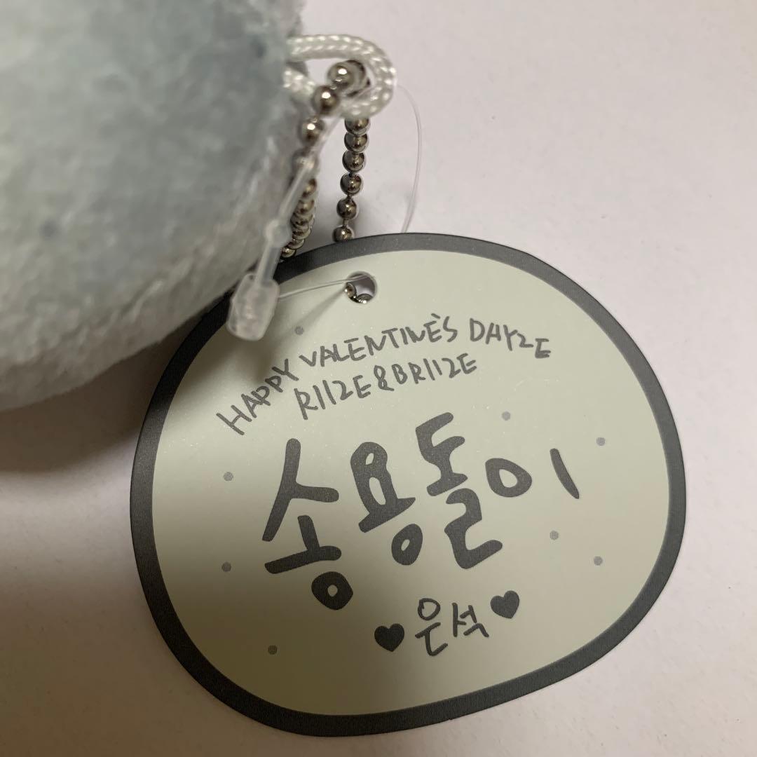 RIIZE ウンソク ソンヨンドリ キーチェーン 公式】RIIZE ウンソク 10cm