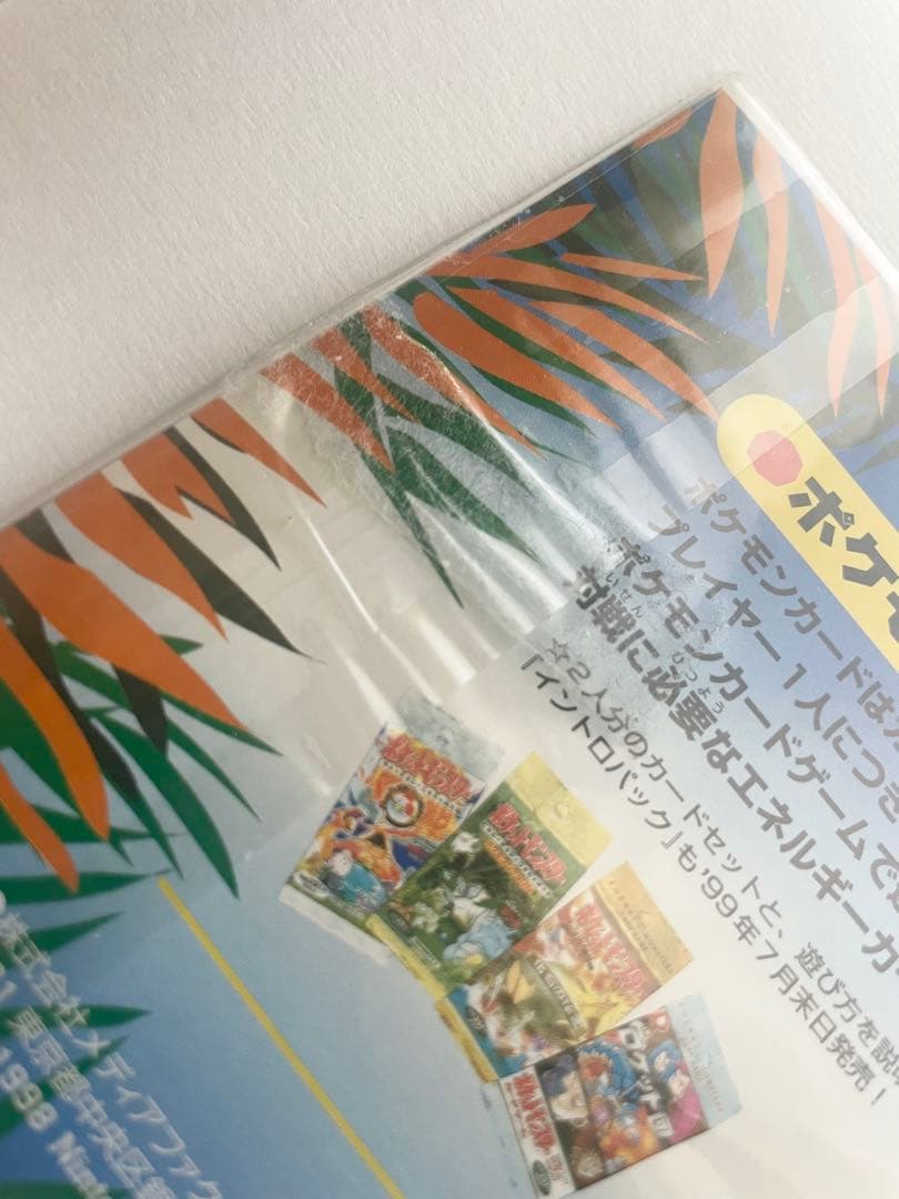 ポケットモンスター　カードゲーム　サザンアイランド　ジャングル