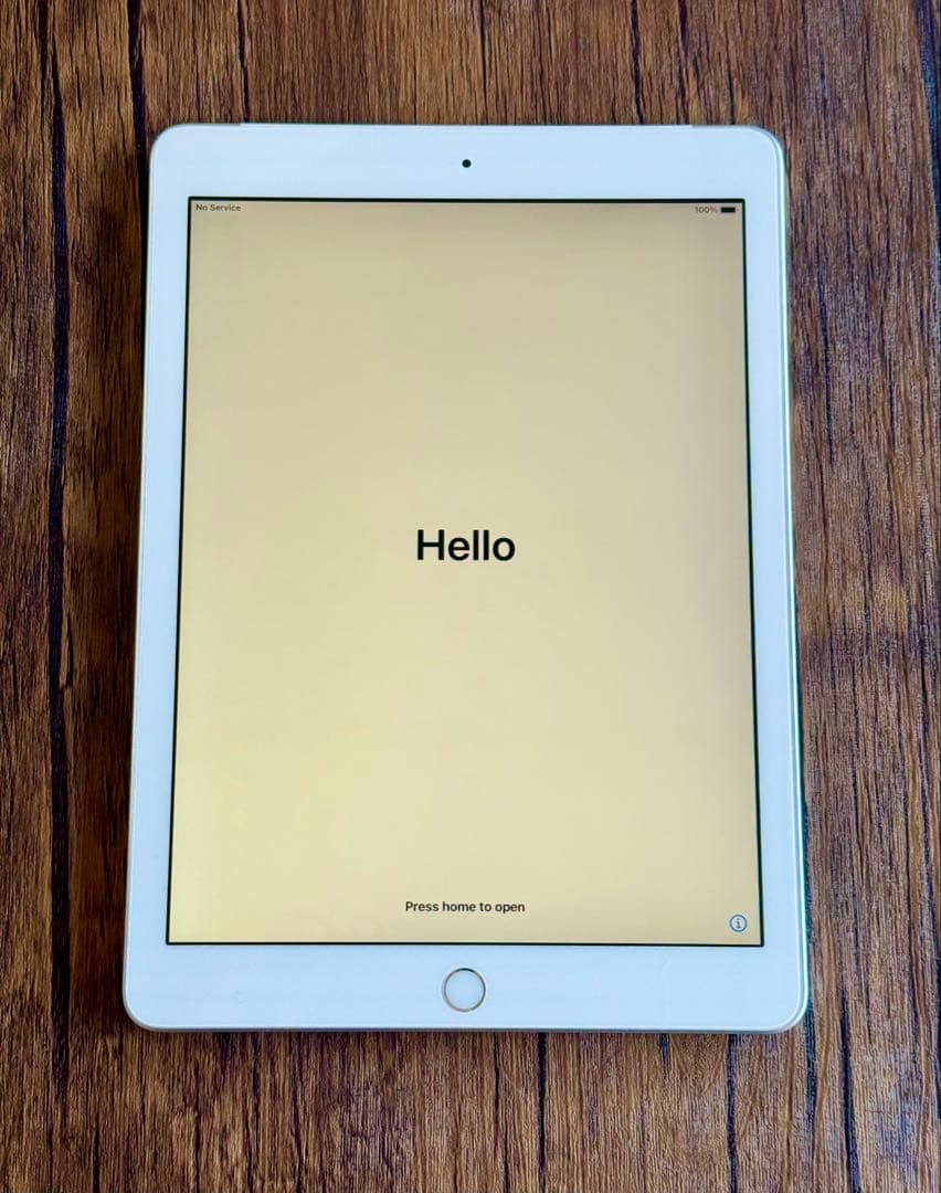 GW値下げ！iPad 第5世代 32GB 本体のみ