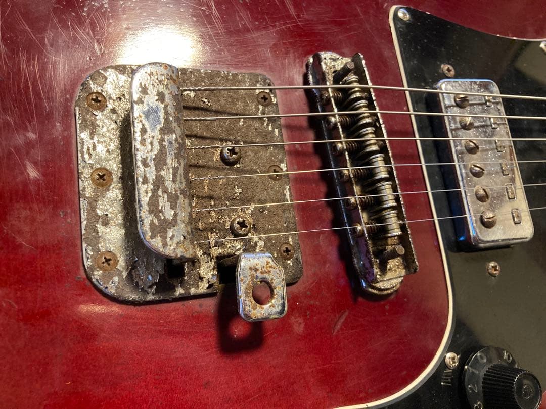 鈴木バイオリン ビザール SG ジャパンビンテージ Heart・Man