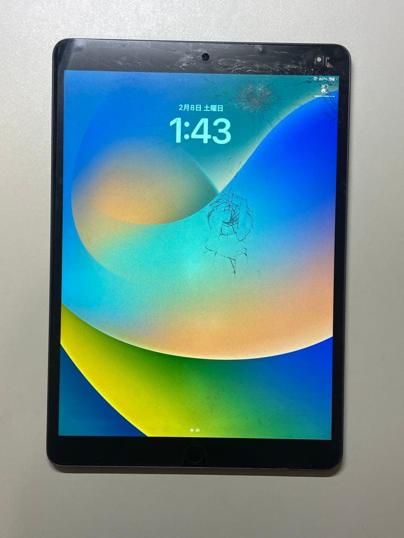 iPad Air 3 (ジャンク品) iPad Air3 【ジャンク品】 256GB 【公式通販】