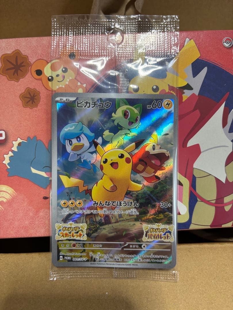 ポケモンセンター ヒロシマ スペシャルボックス　プロモカードあり