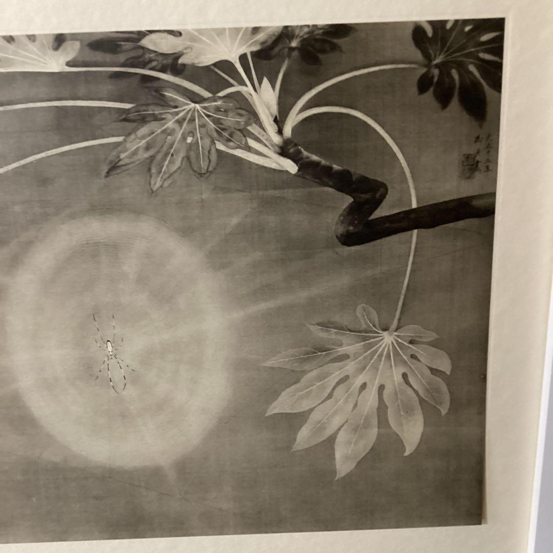 天才画家　速水御舟作品集大作編　便利堂監修NO 17 【昆虫二題葉蔭魔手】