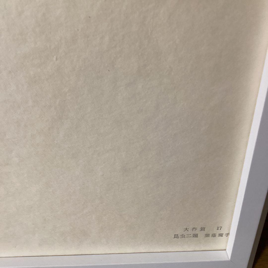 天才画家　速水御舟作品集大作編　便利堂監修NO 17 【昆虫二題葉蔭魔手】