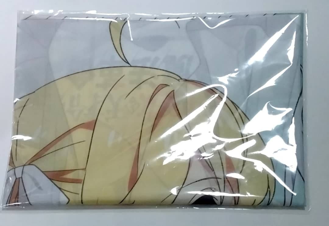 転生王女と天才令嬢の魔法革命 アニメイト特典 布ポスター