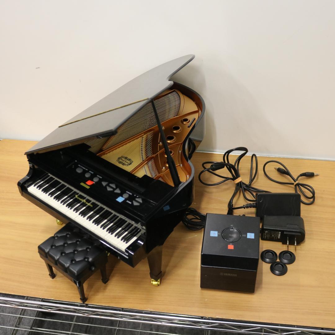 Tarimoカホン/TC-450S Sapele 日本製 ゴールドパーツ限定品