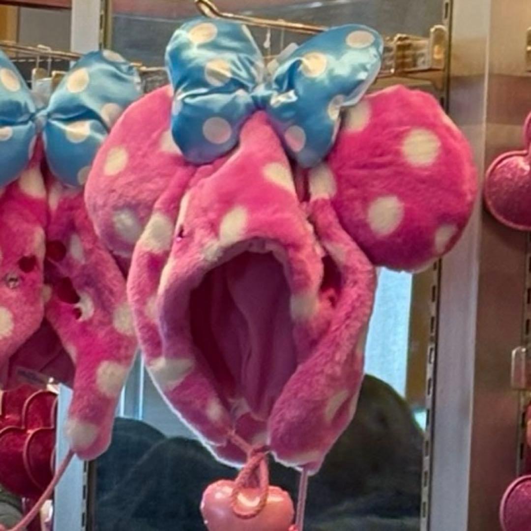 ミニー ファンキャップ ファンダーランド パルパルーザ 新品タグ付き