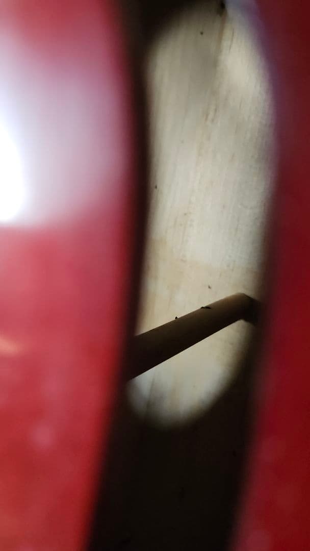 Carlo Giordano SC-90 4/4 チェロ カルロジョルダーノ