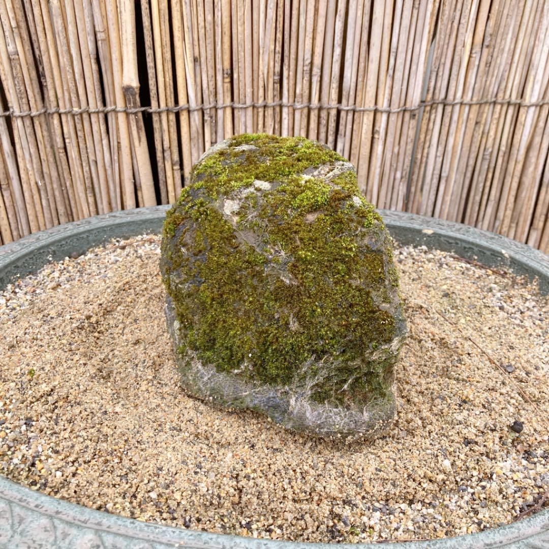 京都貴船糸掛石【A】