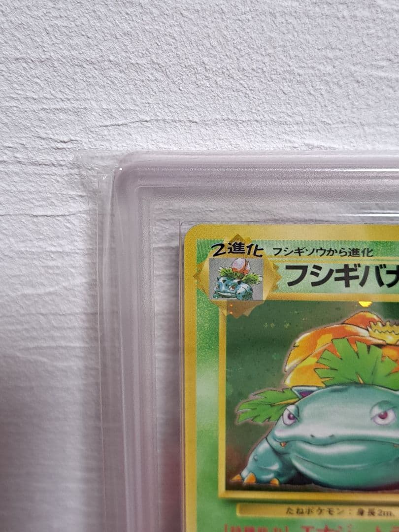 ポケカ　旧裏マークなし　フシギダネ　フシギソウ　フシギバナ　進化3点セット