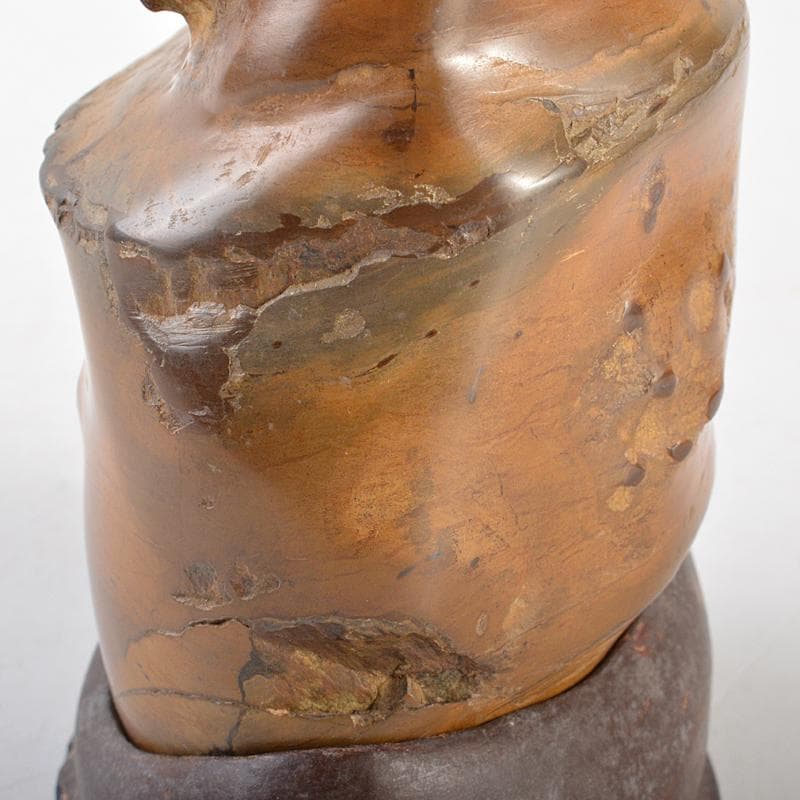 天然石 鑑賞石 安倍川 鉄丸石 置物 唐木台付 C R7096 - メルカリ