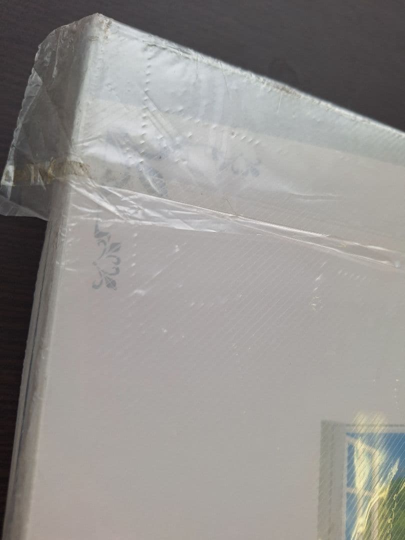 ⭐新品、未開封 ときめきメモリアルファイル⭐