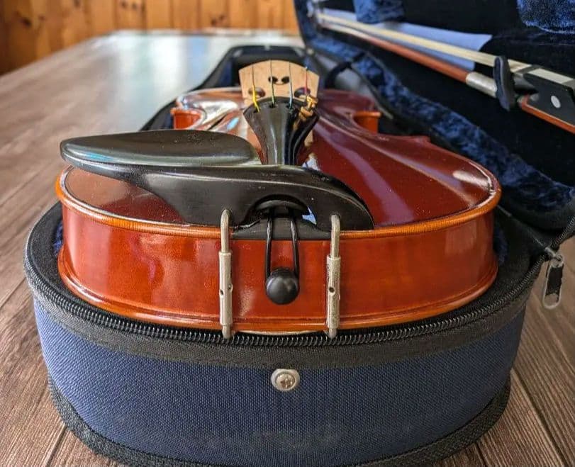 あゆみPygmalius Derius Giapponese 4/4