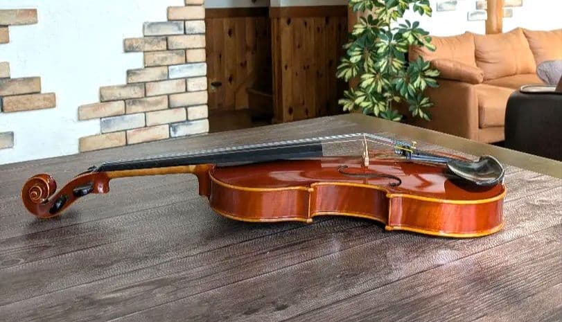 あゆみPygmalius Derius Giapponese 4/4