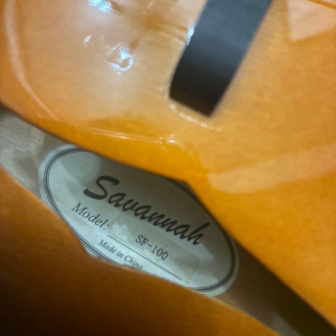 Savannah フラットマンドリン　ハードケース付き