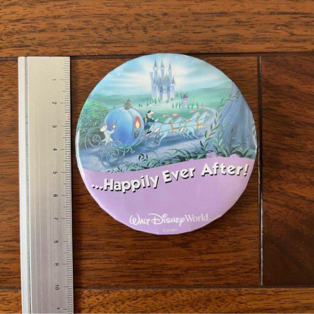 【限定】ディズニーワールド フロリダ 缶バッチ 6個　セット